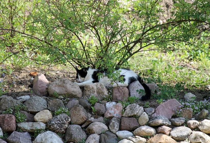 乡村酒店  Landhaus Masurische Schweiz