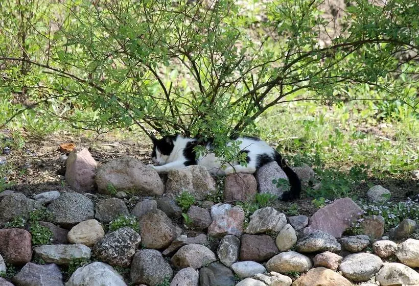 Maaseutuhotelli Landhaus Masurische Schweiz