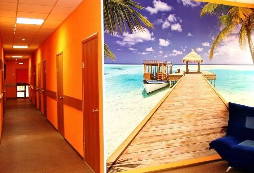 Oasis Hotel   Hostel