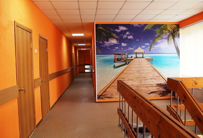 Oasis Hotel   Hostel