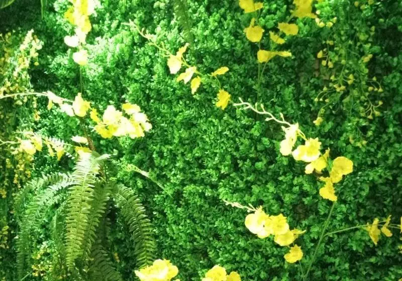 ホテル Vatica Xuzhou Suining Bus Station Bayi West Road