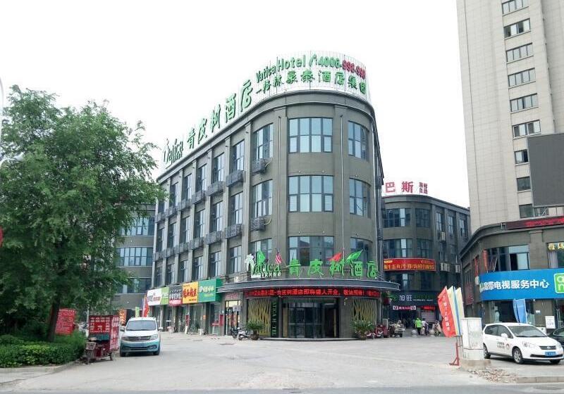 בית מלון כפרי Vatica Xuzhou Suining Bus Station Bayi West Road
