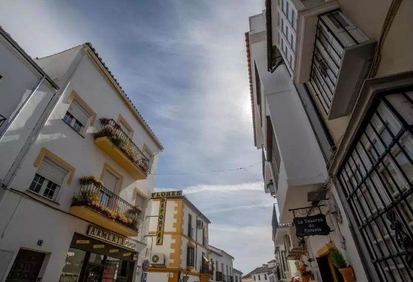 Soho Boutique Central