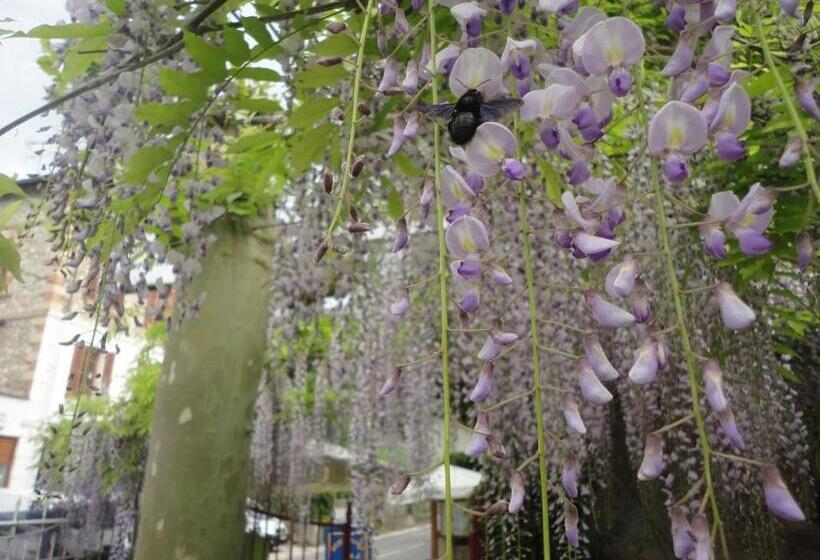 ホテル Beau Rivage