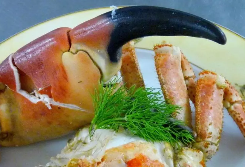 בית מלון כפרי Hôtel De La Baie Des Trépassés