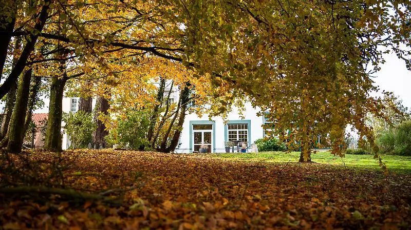 Logis   Hotel Restaurant La Sapinière
