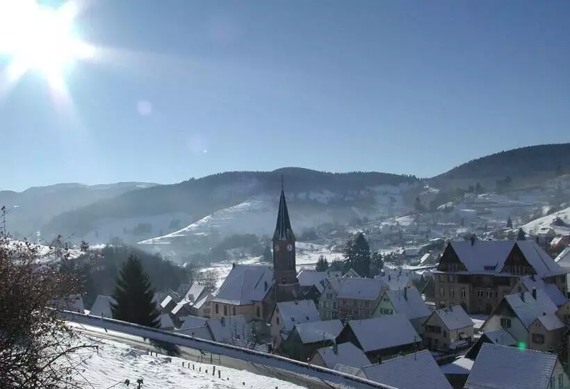 ホテル Résidence Soansa Du Gérardmer Col De La Schlucht