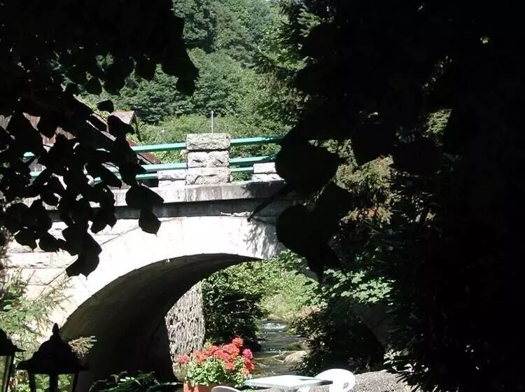 ホテル Résidence Soansa Du Gérardmer Col De La Schlucht