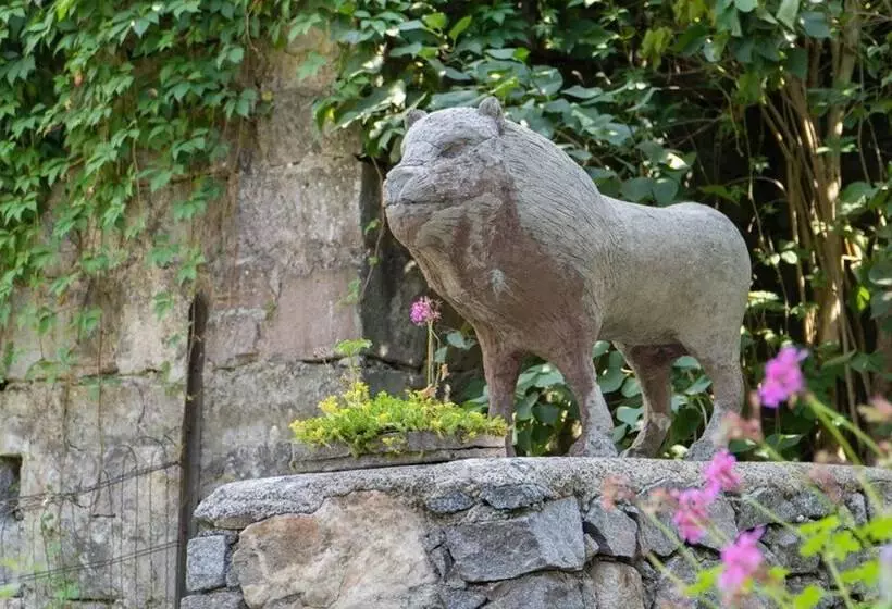 ホテル Résidence Soansa Du Gérardmer Col De La Schlucht