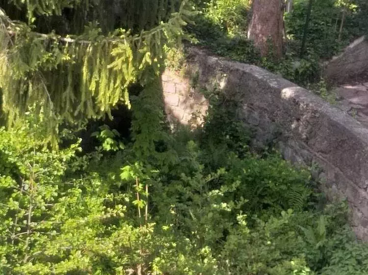 ホテル Résidence Soansa Du Gérardmer Col De La Schlucht