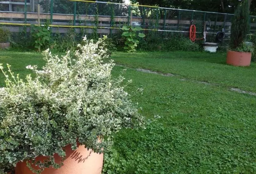 هتل Hôtel Sud Alsace