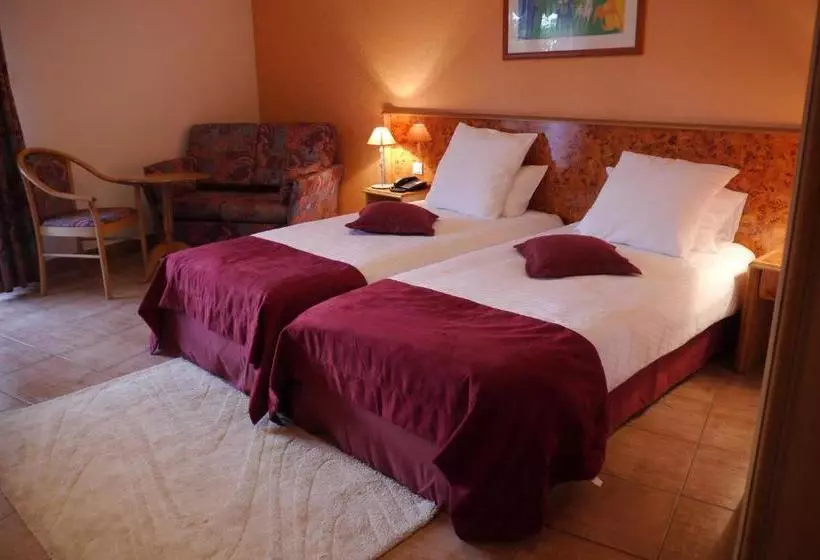 هتل Hôtel Sud Alsace