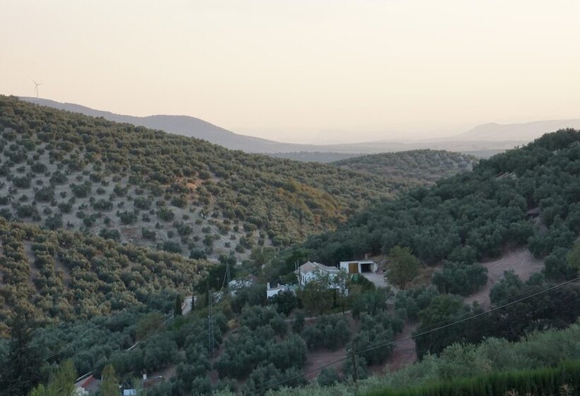 Bed and Breakfast Casa Pura Vida