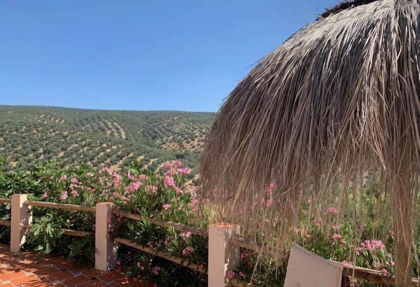 Bed and Breakfast Casa Pura Vida