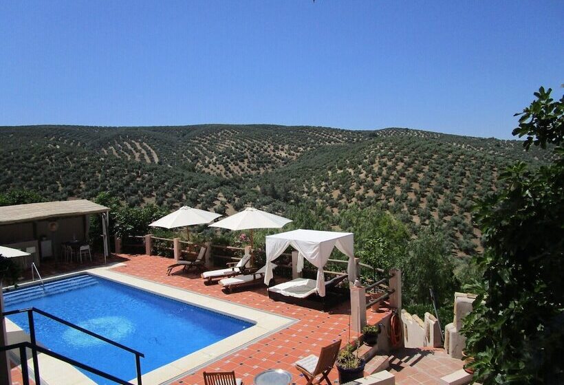 Bed and Breakfast Casa Pura Vida