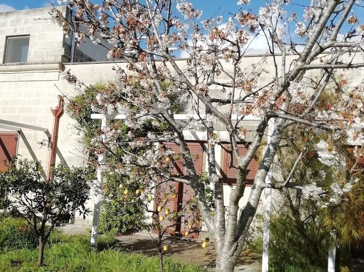 Bed and Breakfast Masseria Dei 12 Granai