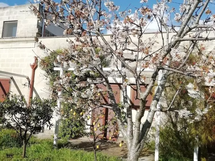 Aamiaismajoitus (B&B) Masseria Dei 12 Granai