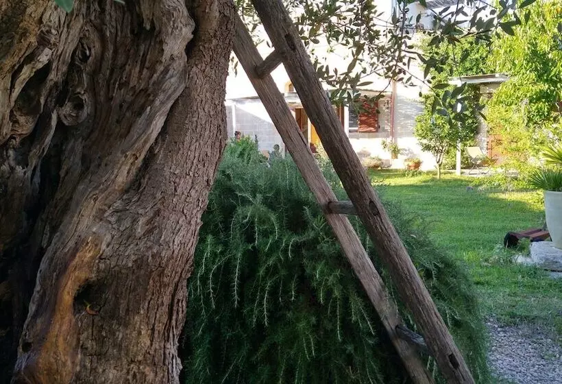 Aamiaismajoitus (B&B) Masseria Dei 12 Granai