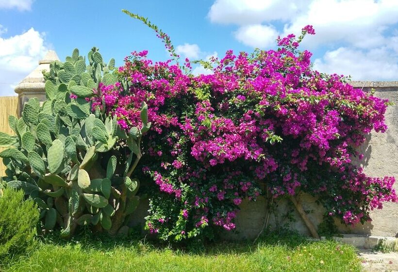 Bed and Breakfast Masseria Dei 12 Granai