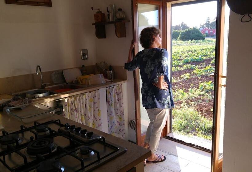 Bed and Breakfast Masseria Dei 12 Granai