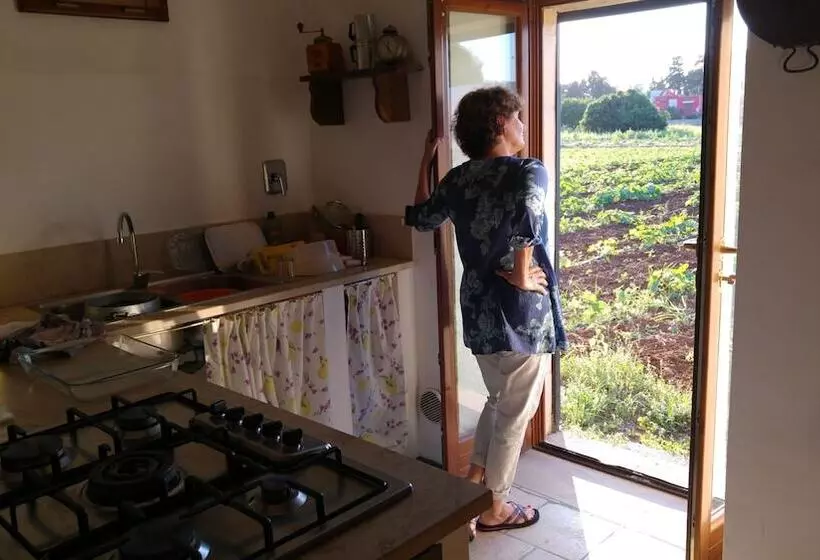 Aamiaismajoitus (B&B) Masseria Dei 12 Granai