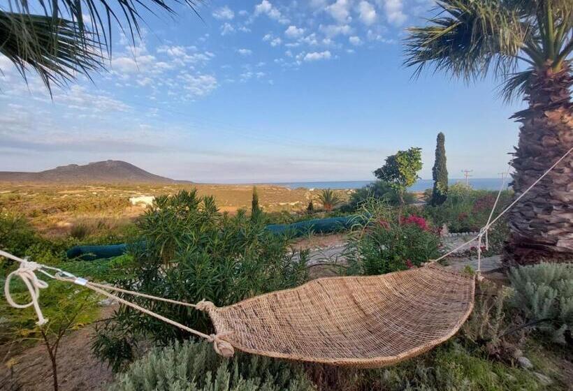 פנסיון Palaeopoli Villas