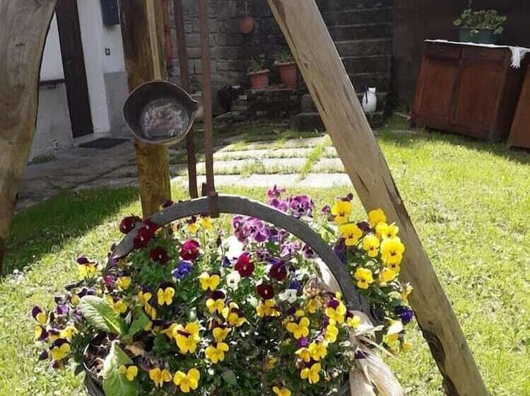 B&b La Tana Dei Ricci