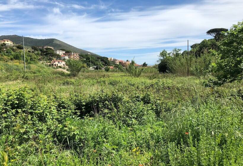 ベッドアンドブレックファースト Casale Coreallo