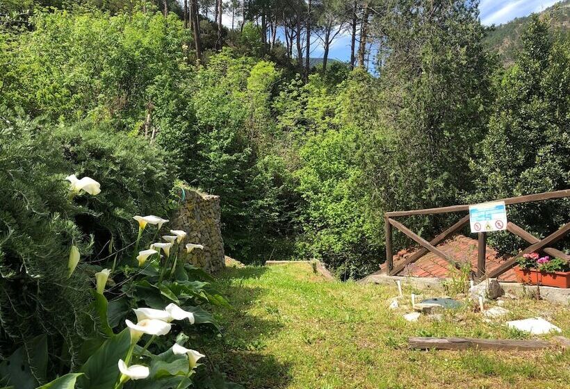 ベッドアンドブレックファースト Casale Coreallo