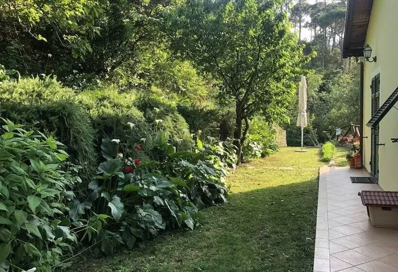 ベッドアンドブレックファースト Casale Coreallo