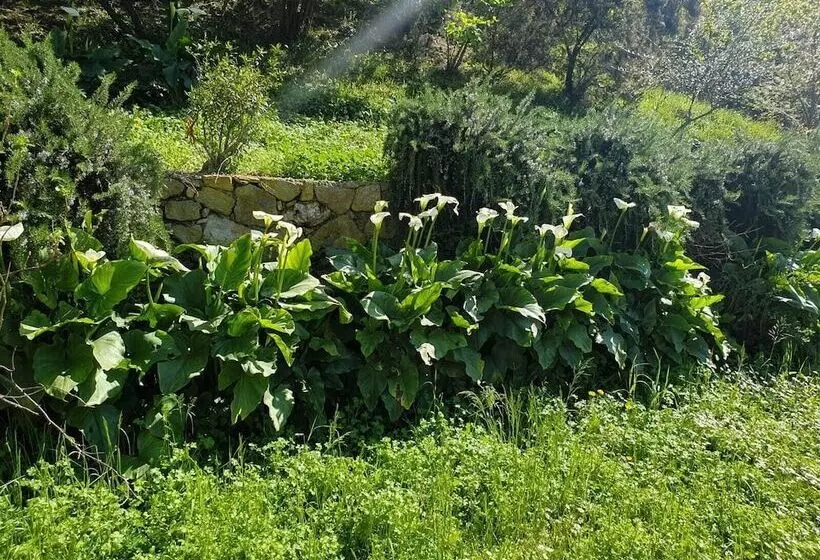 ベッドアンドブレックファースト Casale Coreallo