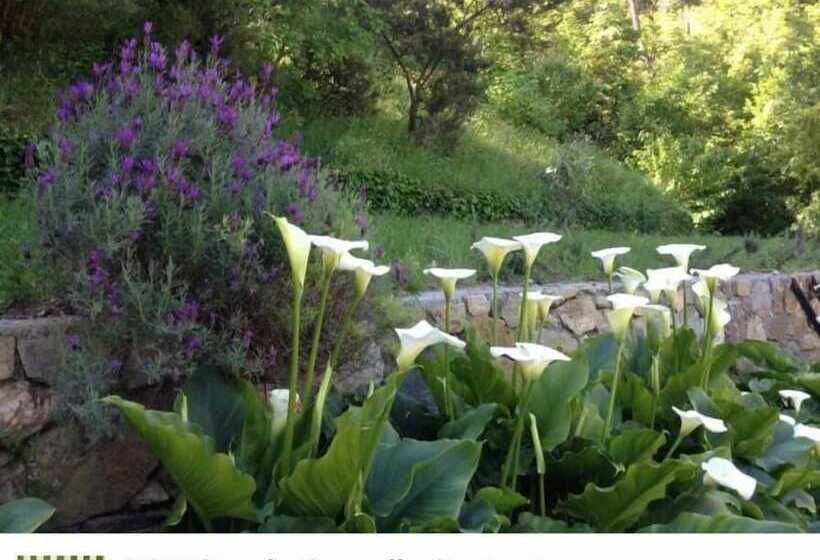 ベッドアンドブレックファースト Casale Coreallo