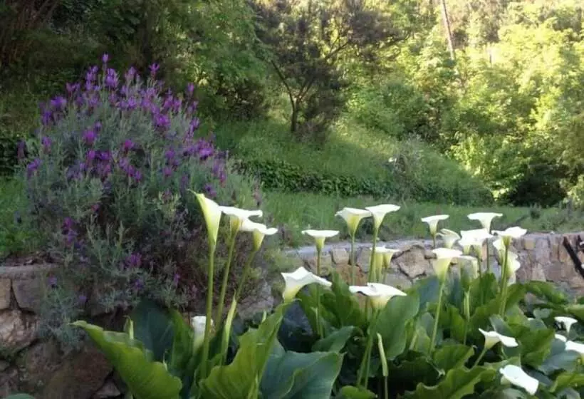 ベッドアンドブレックファースト Casale Coreallo