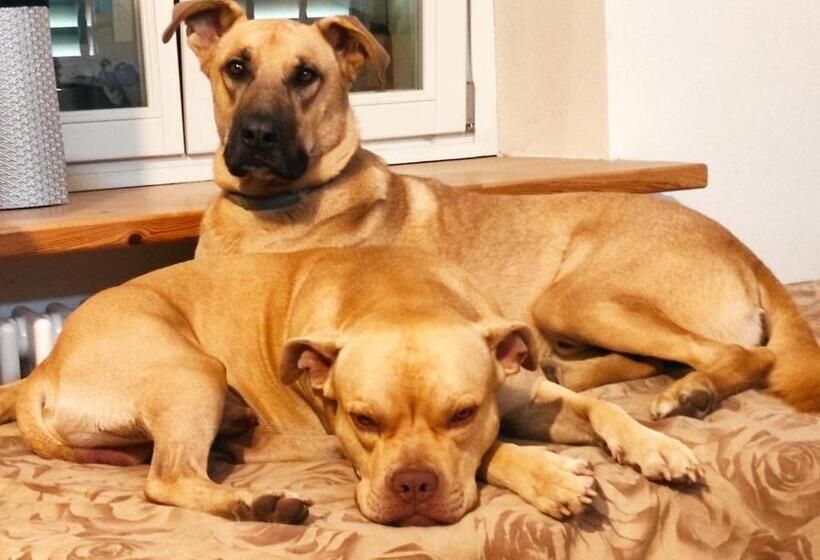 تختخواب و صبحانه Tetto Alle Rondini