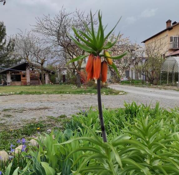 تختخواب و صبحانه Tetto Alle Rondini