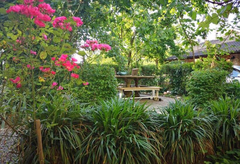 تختخواب و صبحانه Tetto Alle Rondini