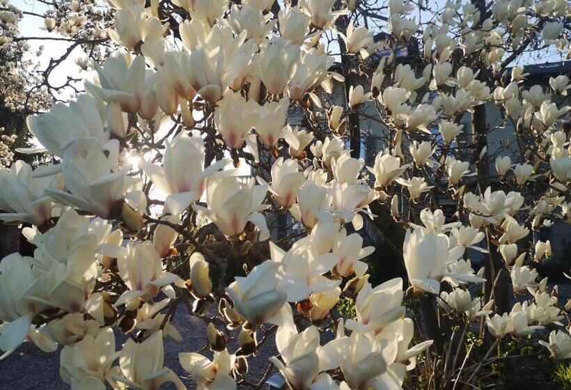 تختخواب و صبحانه Tetto Alle Rondini