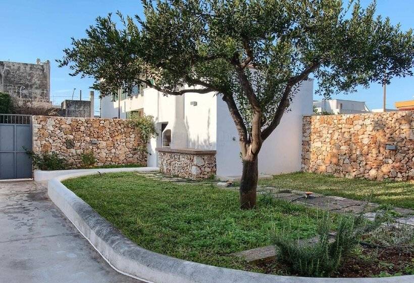 Deluxe Tangerine Court