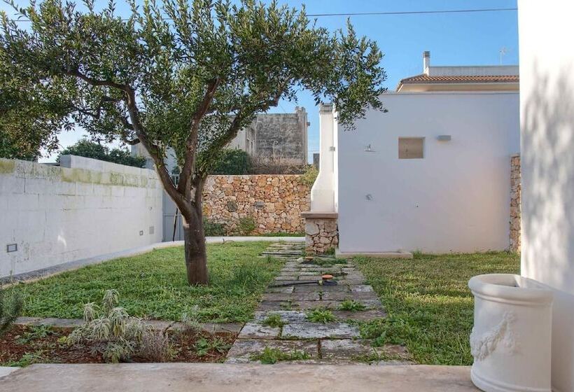 Deluxe Tangerine Court