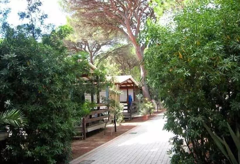 Hotelli Camping Village Il Sole