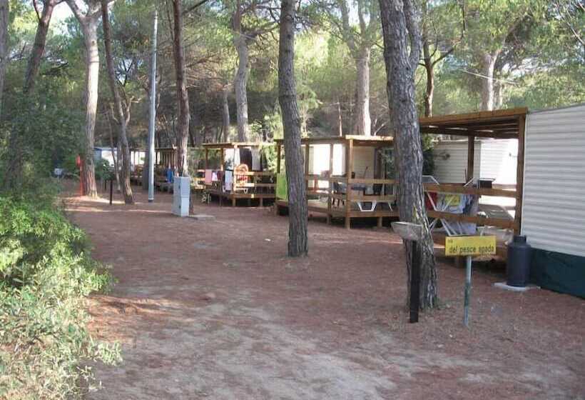 호텔 Camping Village Il Sole