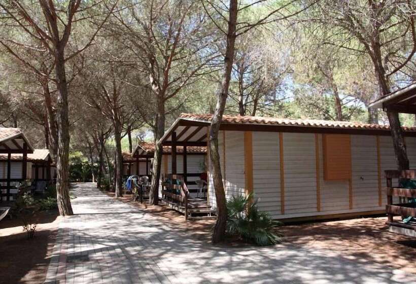 호텔 Camping Village Il Sole