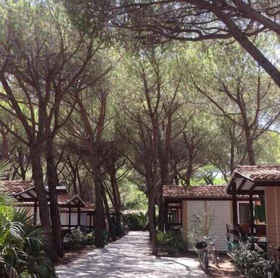 호텔 Camping Village Il Sole