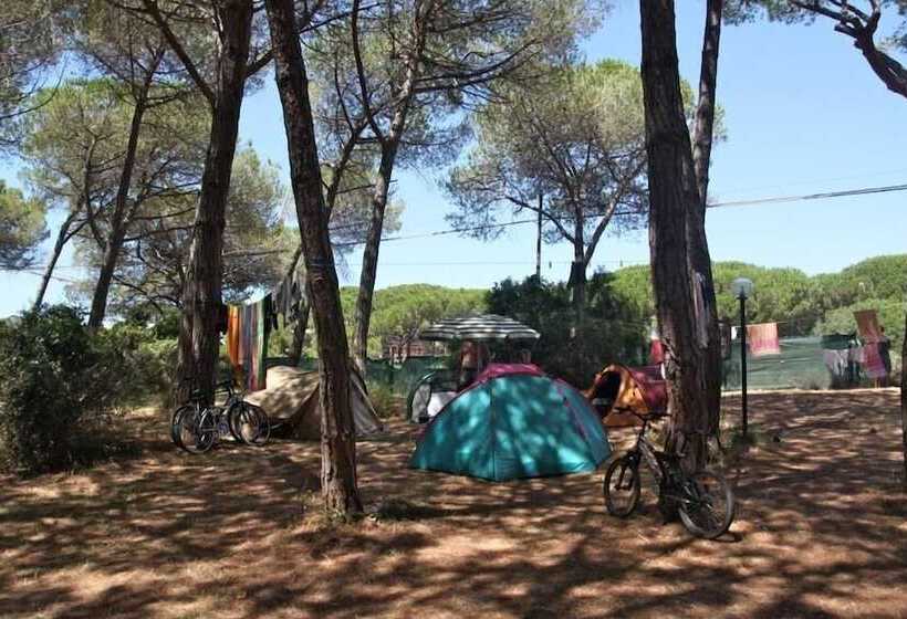 호텔 Camping Village Il Sole