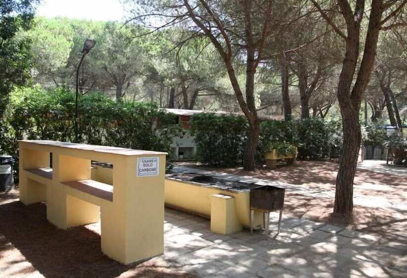 호텔 Camping Village Il Sole