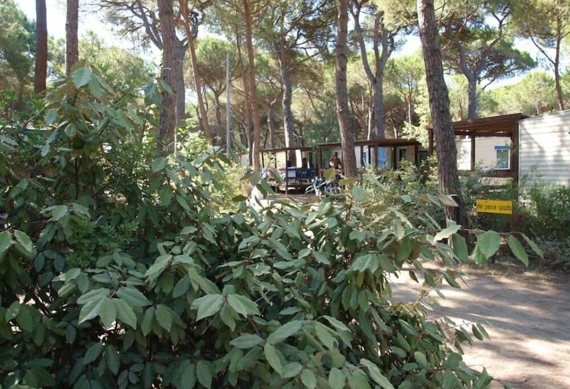 호텔 Camping Village Il Sole