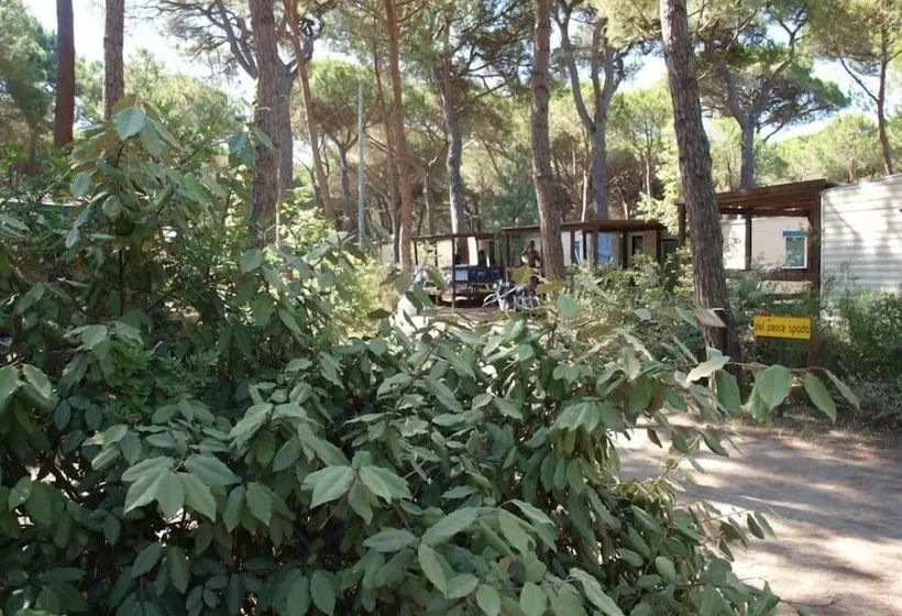 Hotelli Camping Village Il Sole