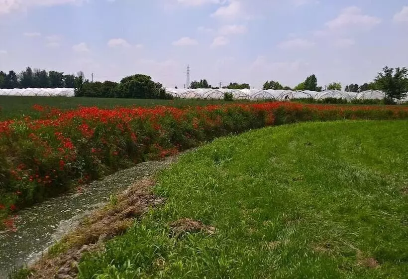 田舎風ホテル Agriturismo Cipolli E Podò Corte Carlini