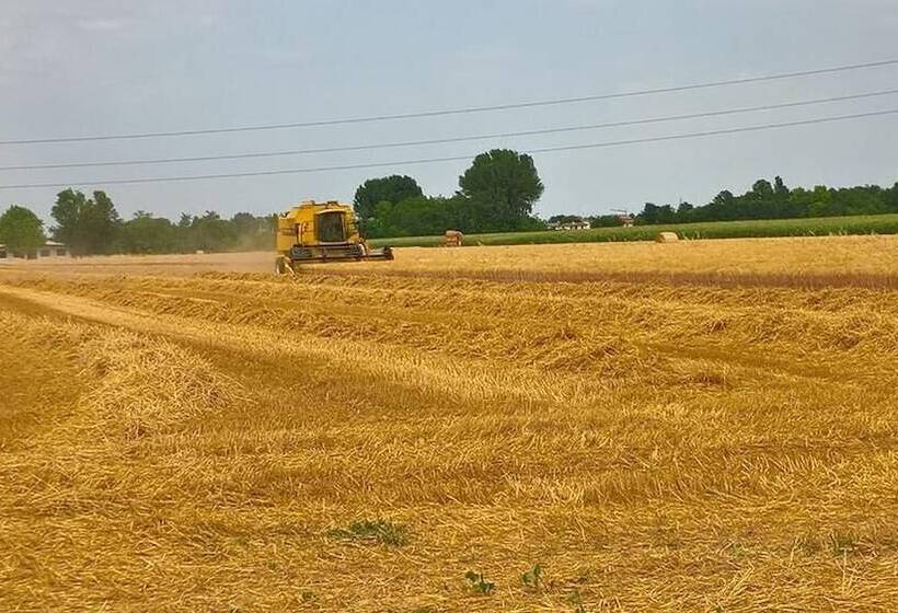 فندق ريفى Agriturismo Cipolli E Podò Corte Carlini