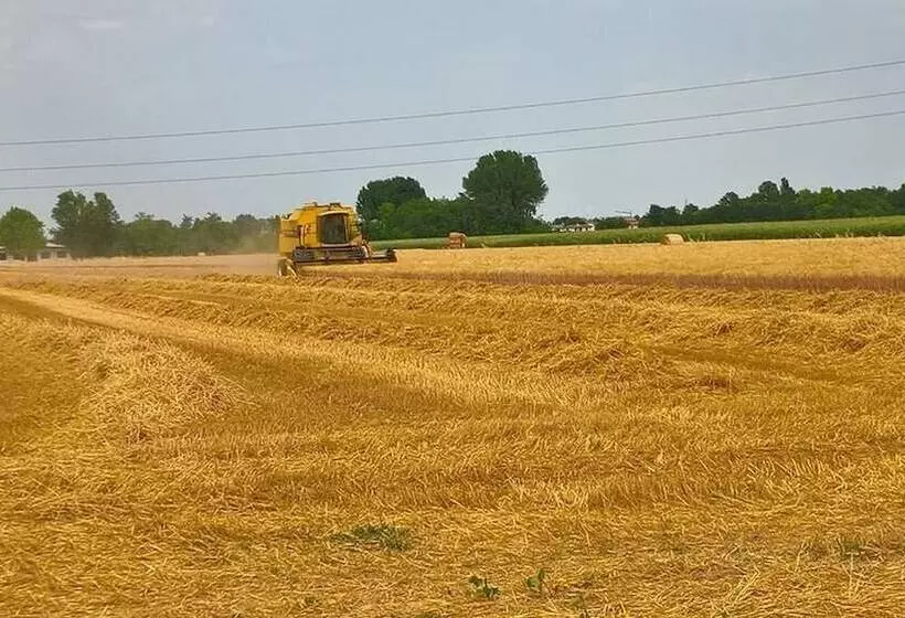 田舎風ホテル Agriturismo Cipolli E Podò Corte Carlini